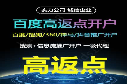 案例解读：SEO与SEM优化助力电商崛起